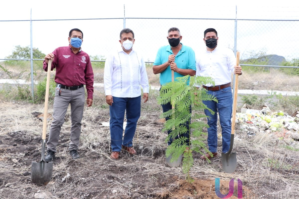 Arranca campaña de reforestación 2020 en Apatzingán
