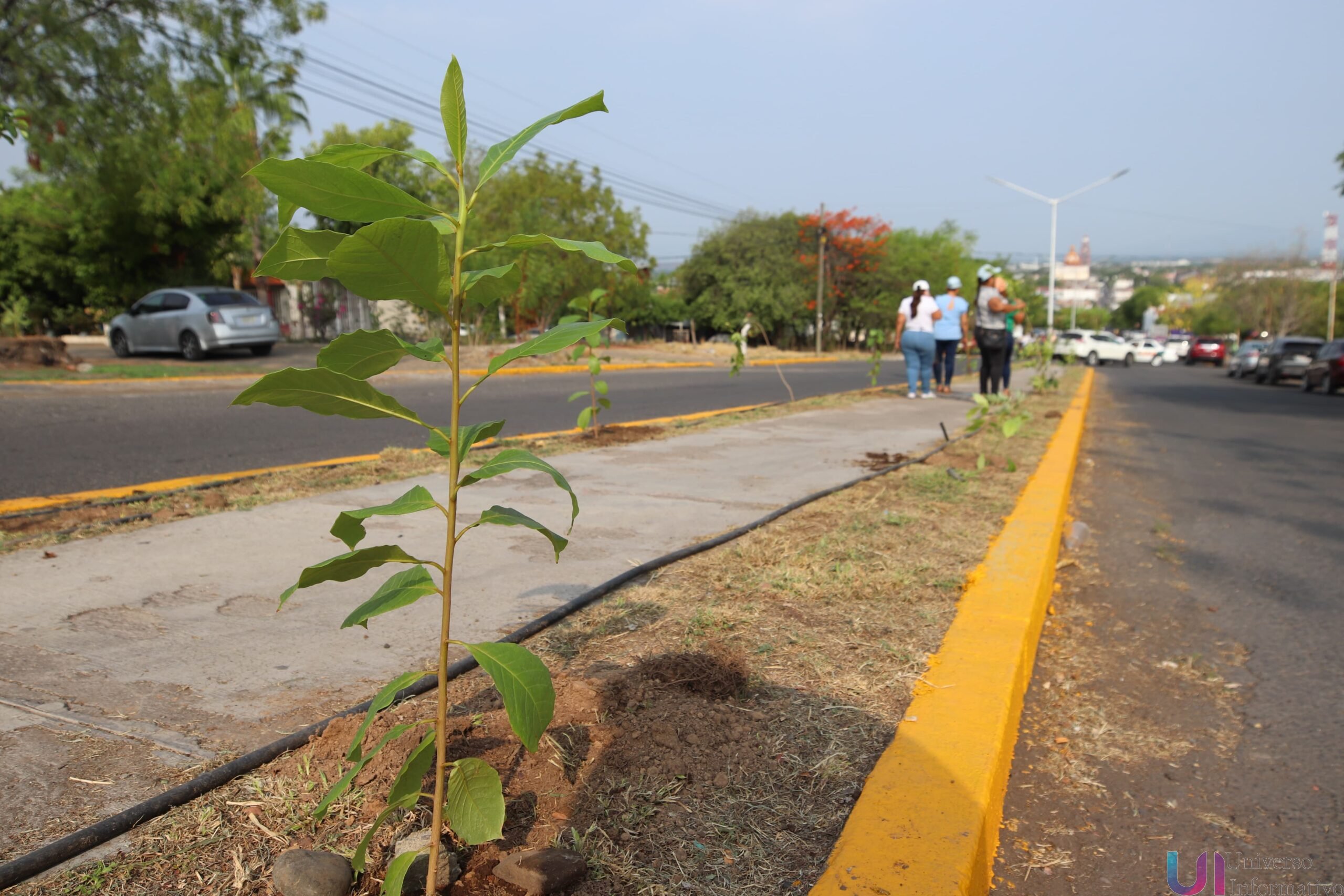 ¡Pequeñas acciones que salvan el planeta! Apatzingán inicia el Mes del Medio Ambiente