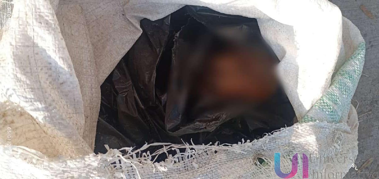 Localizan restos humanos en la plaza principal de Cuitzeo del Porvenir