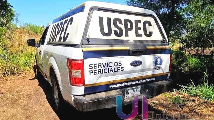 Localizan a seis hombres sin vida durante operativo de seguridad en Apatzingán