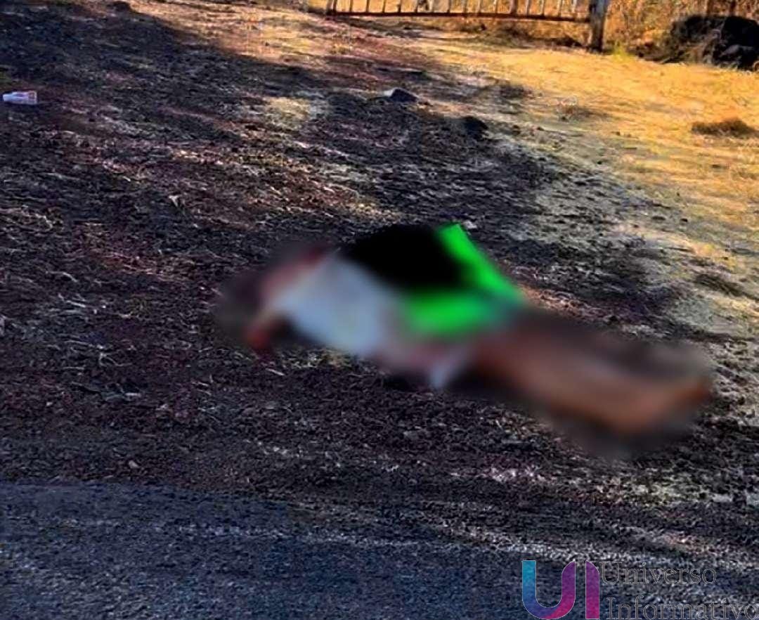 Localizan a mujer sin vida con huellas de violencia en Buenavista